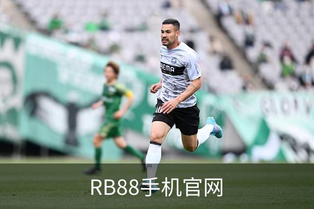 RB88手机官网公司简介展示图